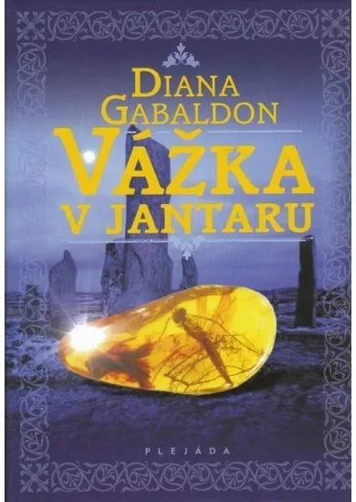Vážka v jantaru