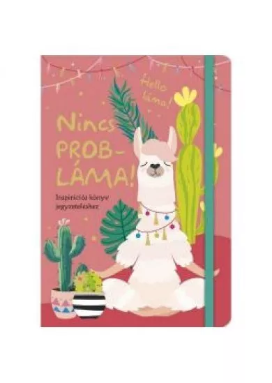 Nincs PROBLÁMA - Inspirációs könyv jegyzeteléshez