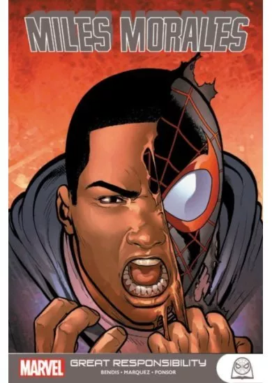 Miles Morales Great Responsibility