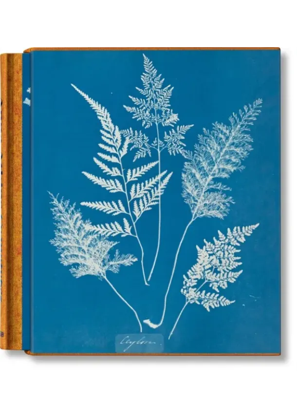 Peter Walther - Anna Atkins. Cyanotypes