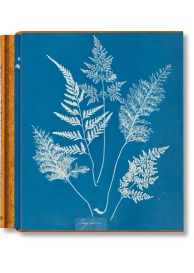 Anna Atkins. Cyanotypes