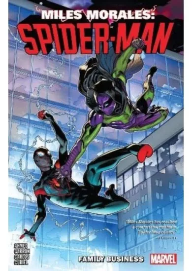 Miles Morales SpiderMan 3