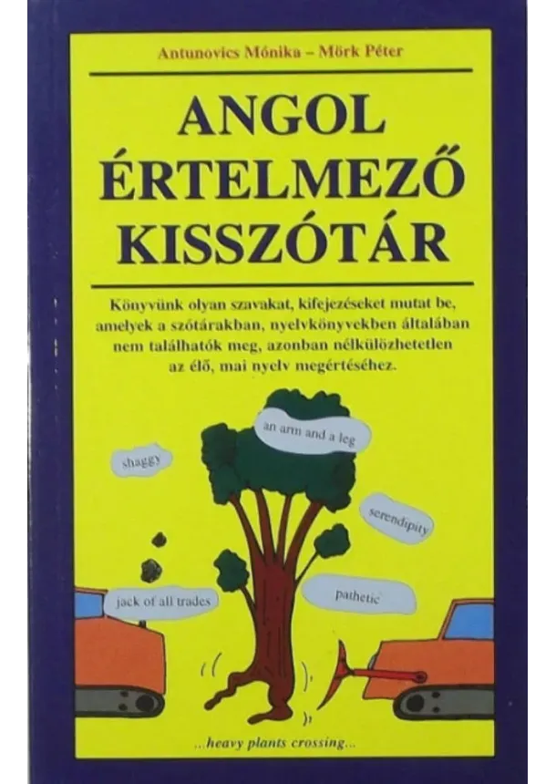 Mörk Péter - Angol értelmező kisszótár