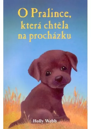 O Pralince, která chtěla na procházku