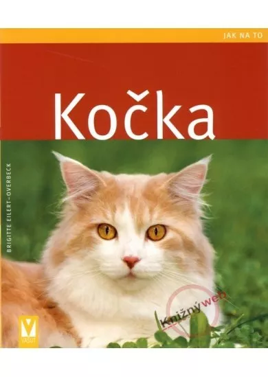 Kočka - Jak na to