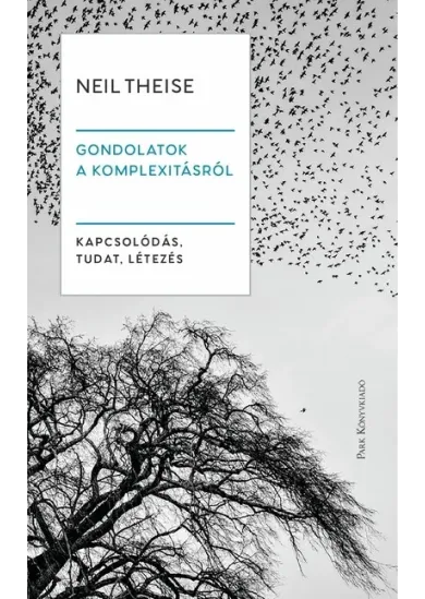 Gondolatok a komplexitásról - Kapcsolódás, tudat, létezés