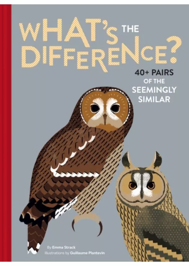 Emma Strack - Whats the Difference