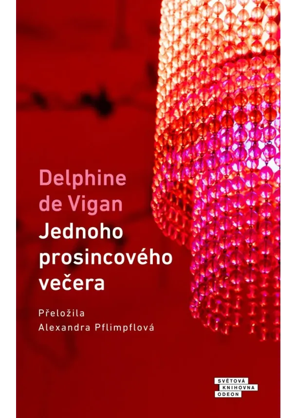 Delphine de Vigan - Jednoho prosincového večera