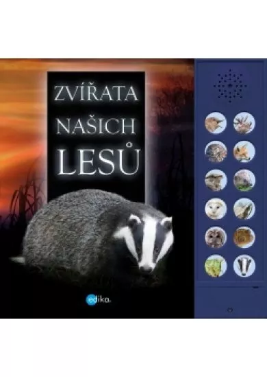 Zvířata našich lesů