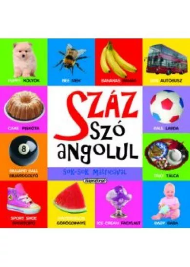 Száz szó angolul sok-sok matricával