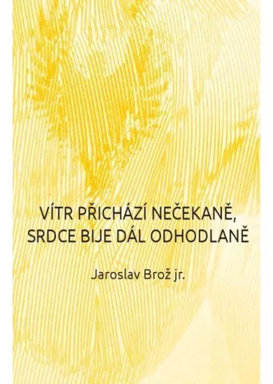 Vítr přichází nečekaně, srdce bije dál odhodlaně