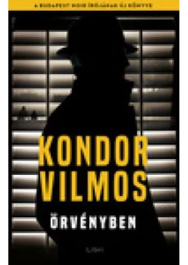 Kondor Vilmos - Örvényben