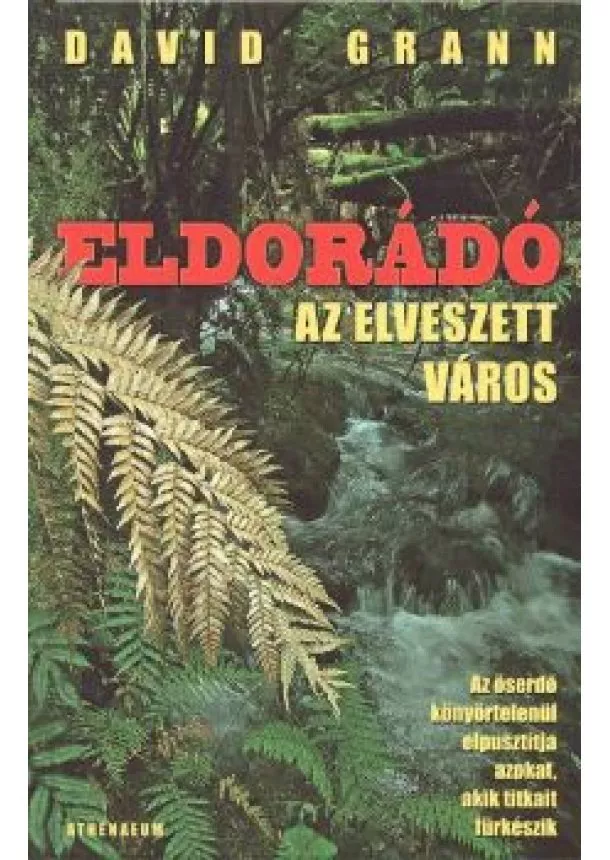 DAVID GRANN - ELDORÁRÓ