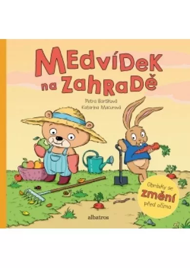 Medvídek na zahradě