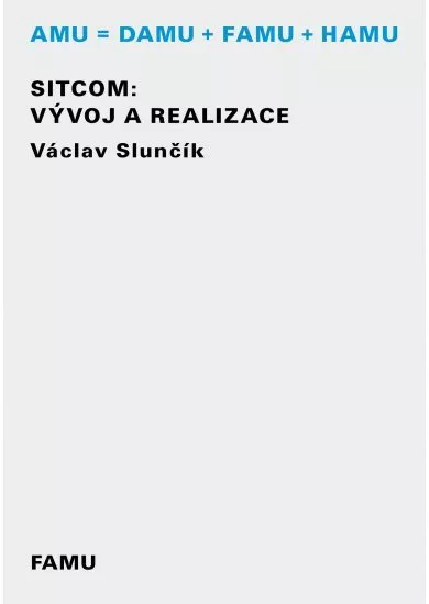 Sitcom: Vývoj a realizace