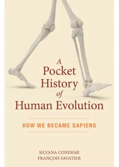 A Pocket History of Human Evolution