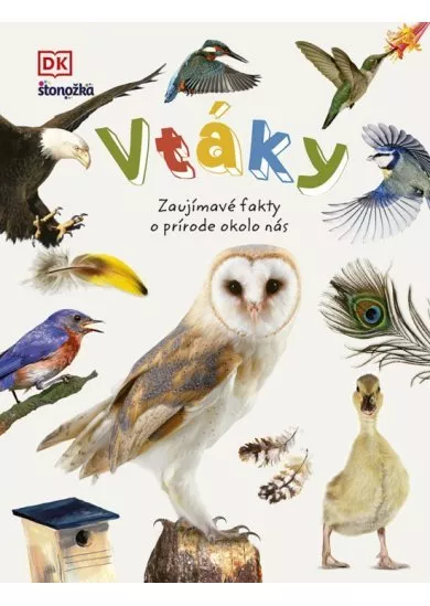 Vtáky