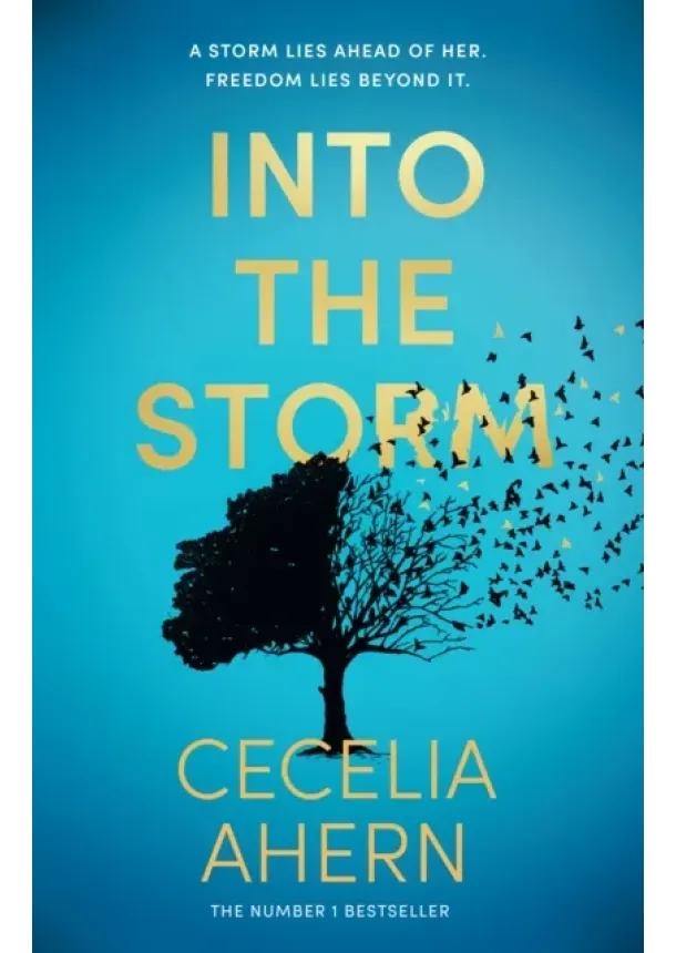 Cecelia Ahern - Into the Storm