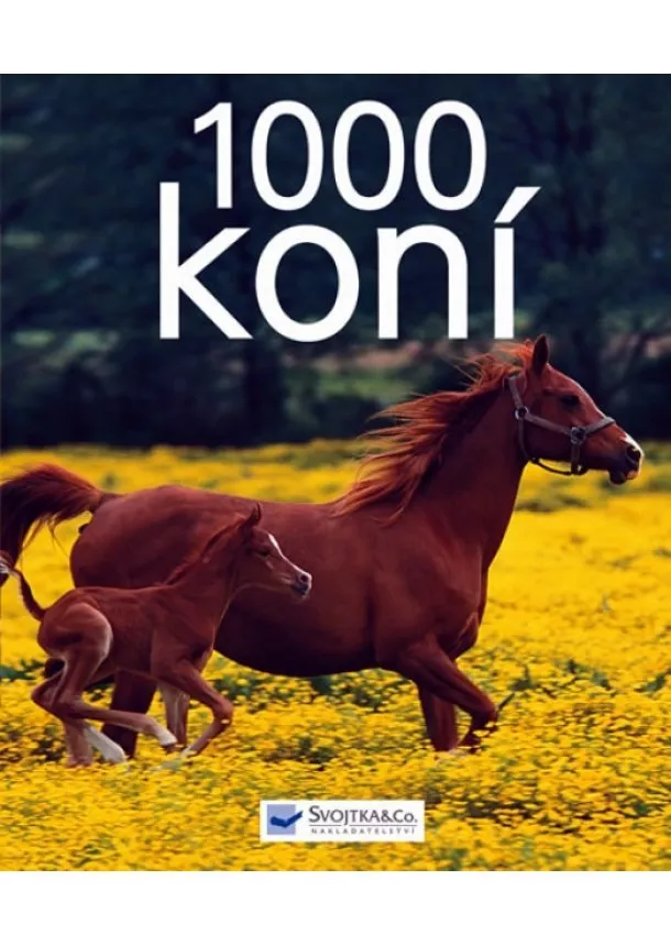 autor neuvedený - 1000 koní - 2. vydání