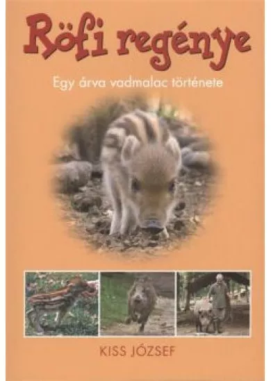 RÖFI REGÉNYE