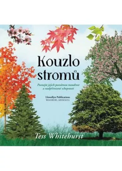 Kouzlo stromů