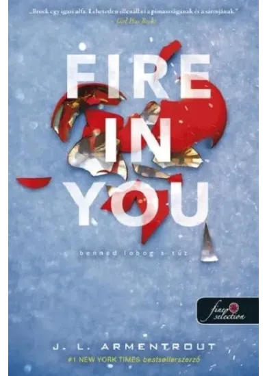 Fire In You - Benned lobog a tűz (kék borító)