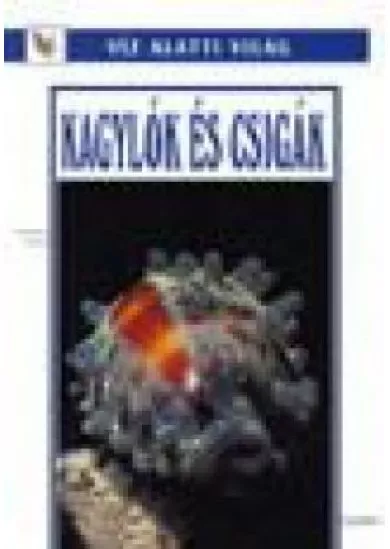 KAGYLÓK ÉS CSIGÁK