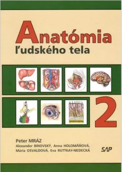 Anatómia ľudského tela 2