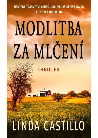 Modlitba za mlčení