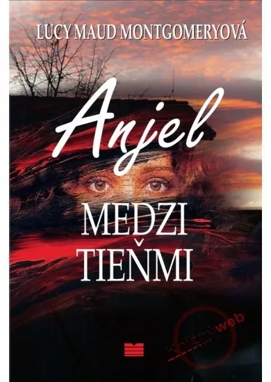 Anjel medzi tieňmi