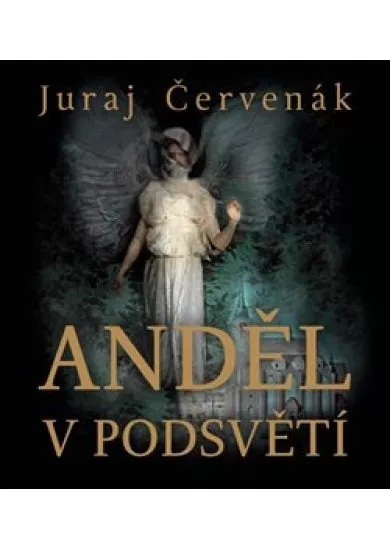 Anděl v podsvětí (2x Audio na CD - MP3)