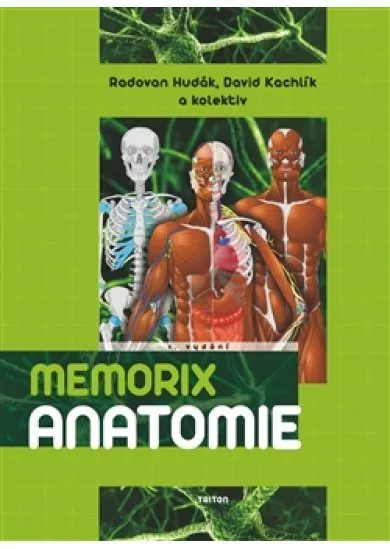 Memorix anatomie