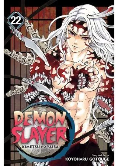 Demon Slayer: Kimetsu no Yaiba 22