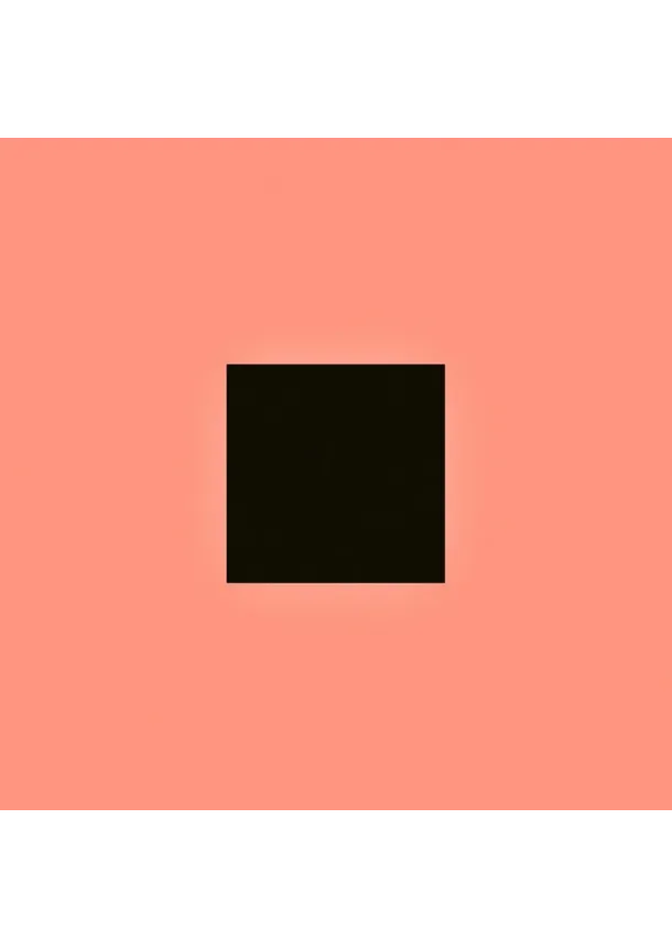 Bon Iver, 375 MEDIA / SECRETLY CANADIAN - Bon Iver:  Sable Fable