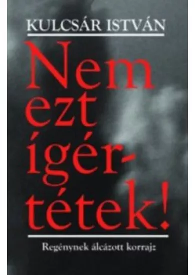 Nem ezt ígértétek! - Regénynek álcázott korrajz