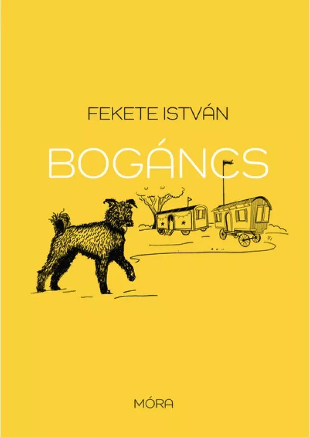 Fekete István - Bogáncs (15. kiadás, puha)
