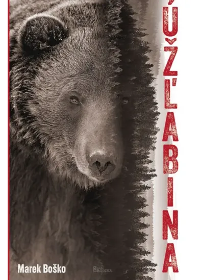 Úžlabina
