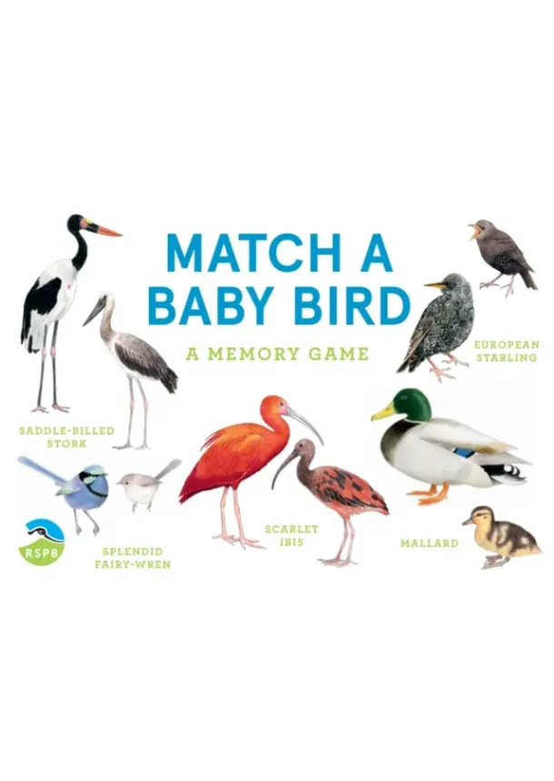 Mike Unwin - Match a Baby Bird