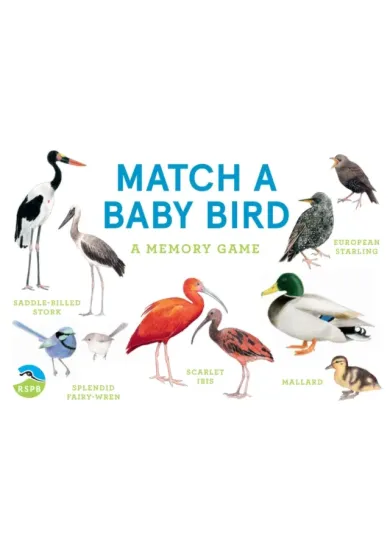 Match a Baby Bird