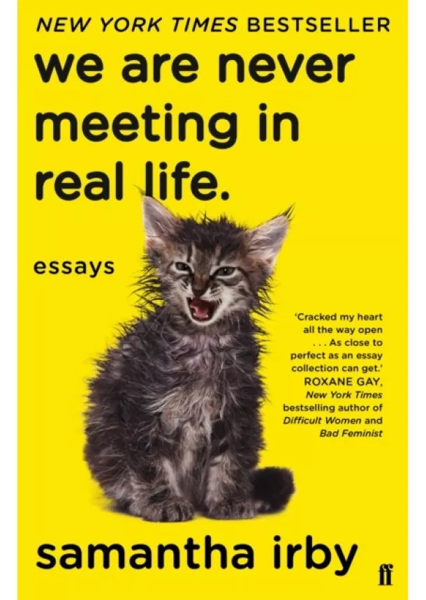Samantha Irby - We Are Never Meeting in Real Life