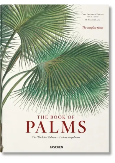 Martius. The Book of Palms
