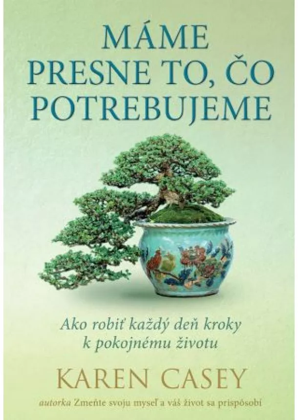 Karen Casey - Máme presne to, čo potrebujeme - Ako robiť každý deň kroky k pokojnému životu