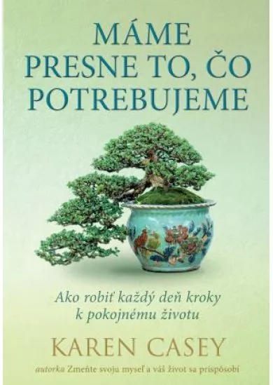 Máme presne to, čo potrebujeme - Ako robiť každý deň kroky k pokojnému životu