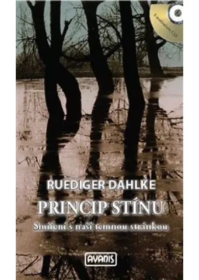 Princip stínu - Smíření s naší temnou stránkou
