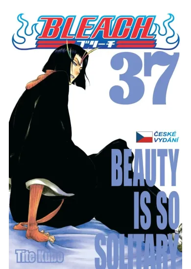 Bleach 37: Beauty Is So Solitary