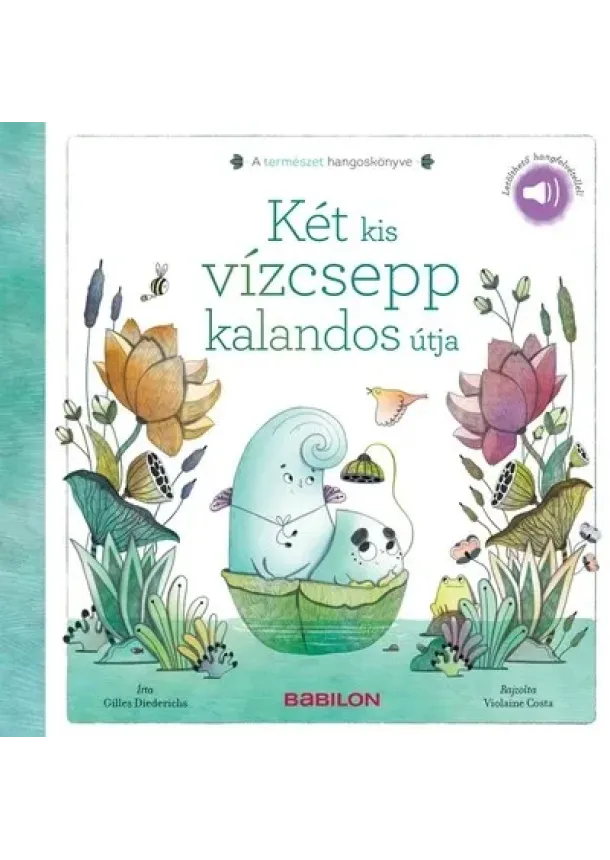 Gilles Diederichs - Két kis vízcsepp kalandos útja - A természet hangoskönyve