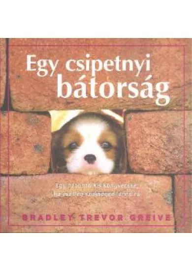 EGY CSIPETNYI BÁTORSÁG