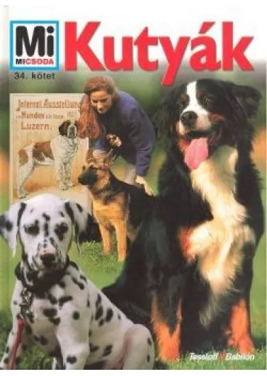 KUTYÁK