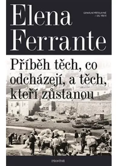 Geniální přítelkyně 3 - Příběh těch, co odcházejí, a těch, kteří zůstanou