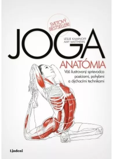 JOGA - anatómia